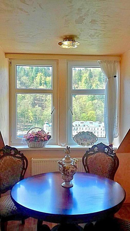 Lira 3 Apartments Karlovy Vary Luaran gambar